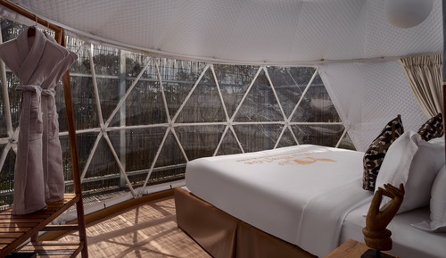 Family Suite Room Jungle View