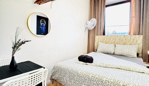 Basic Room, Garden View