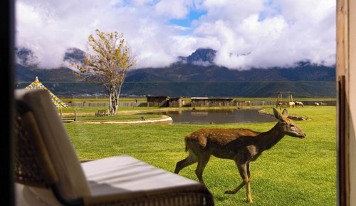 Standard Chalet, Multiple Beds, Hill View