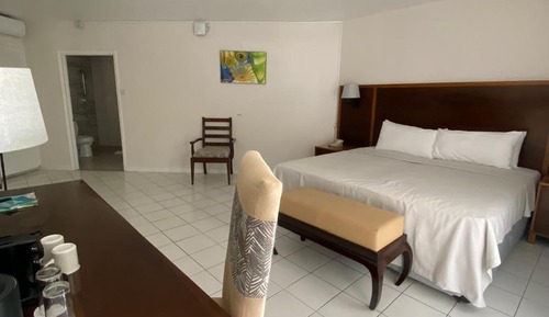 Superior Garden View Room