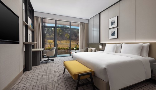 Standard Room, 1 King Bed, Balcony