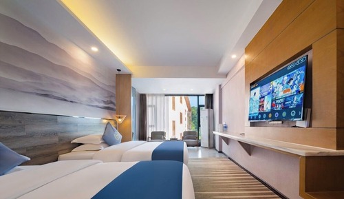 Deluxe Double or Twin Room, Hill View