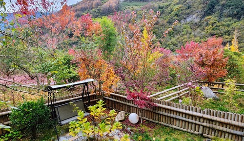 Basic Twin Room, Hill View