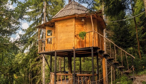 Luxury Tree House, Mountain View