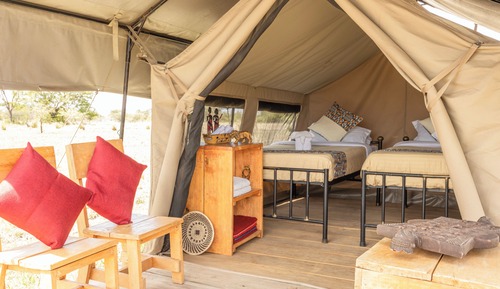 Basic Tent, Patio, Garden View