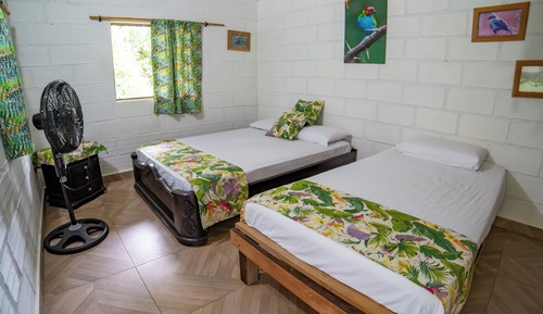Basic Double or Twin Room, Garden View