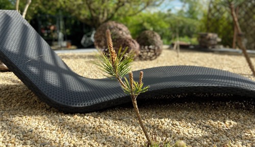 Signature Room, Garden View