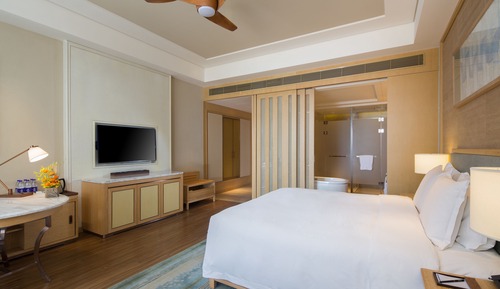 Room, 1 King Bed, Accessible