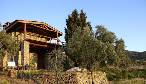 Vineyard House,Vineyard View