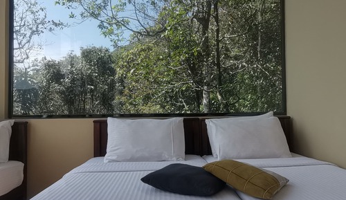 Family Quadruple Room, Mountain View