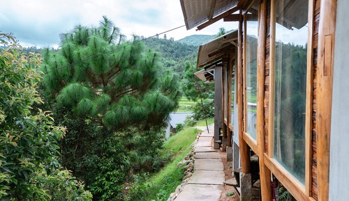 Standard Bungalow, Pool View