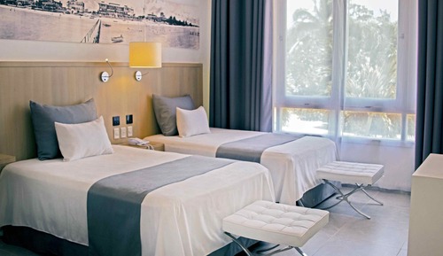 Junior Room, Garden View