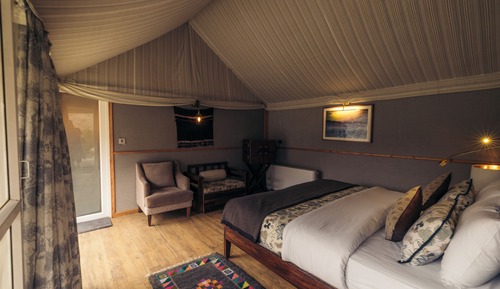 Premium Tent, 1 Bedroom