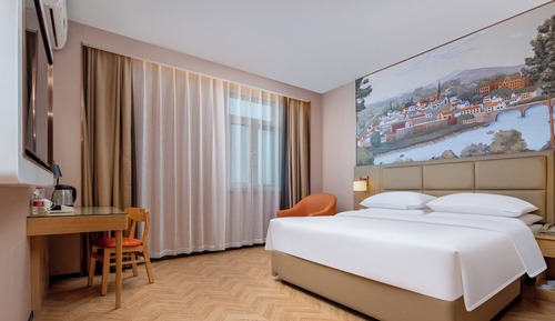 Superior Single Room