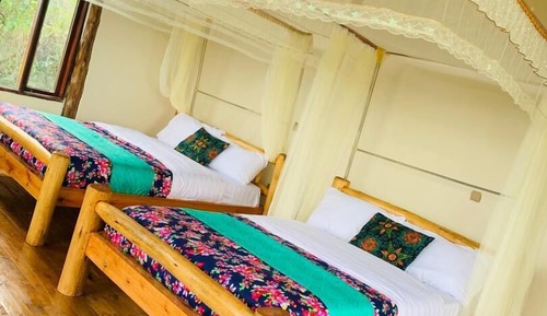 Twin Room, Balcony, Mountain View