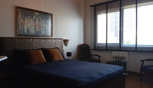 Deluxe Apartment, City View