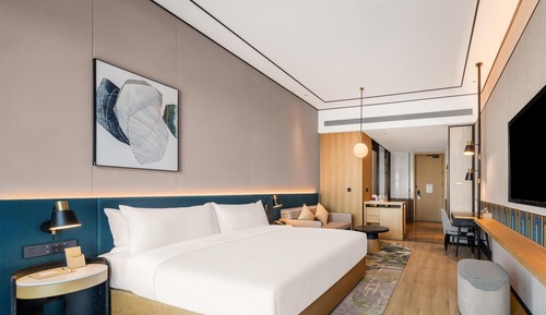 Room, 1 King Bed (Sofabed)