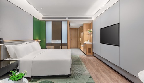 Standard Room, 1 King Bed