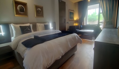 Deluxe Room, Mountain View