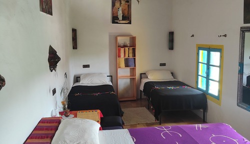 Classic Shared Dormitory, Garden View