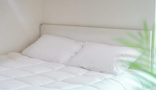 Basic Room, 2 Bedrooms (poolvilla 102)