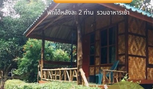 Basic Bungalow, Garden View