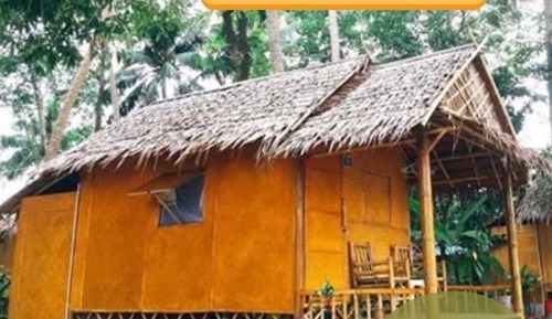 Basic Bungalow, Sea View