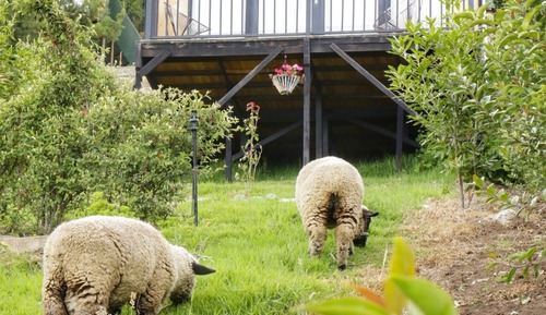 Comfort Quadruple Room, Balcony, Lake View