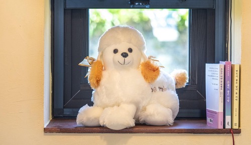 Basic Room, 1 Bedroom (Room 1)