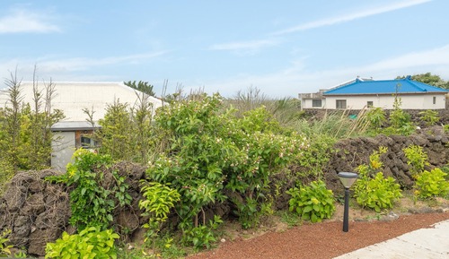 Basic Room, 1 Bedroom (Room 2)