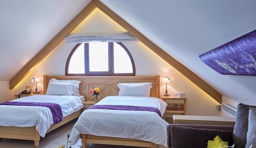 Deluxe Double or Twin Room