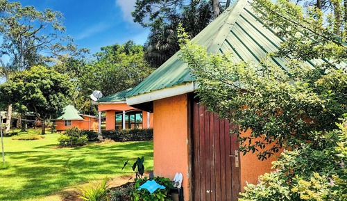 Basic Single Room, 1 Bedroom, Garden View, Garden Area