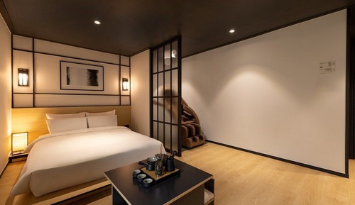 Wellness (Massage Chair)