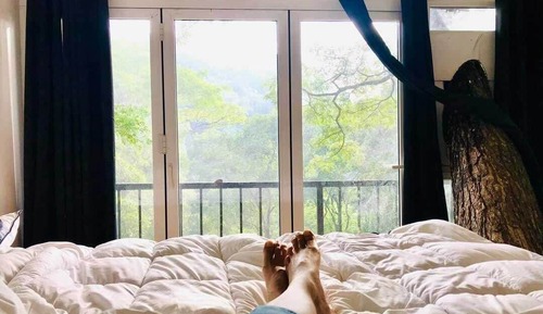 Dandubasnamanaya - Luxury Tree-Top House