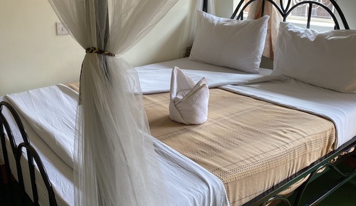 Standard Single Room, 1 Twin Bed