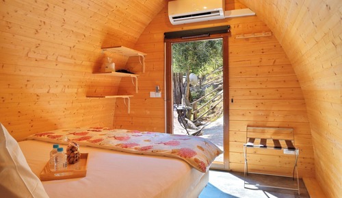 Standard Cabin, 1 Queen Bed