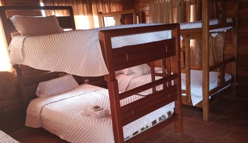 Classic Shared Dormitory