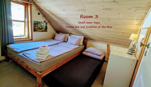 Basic Room, 1 Queen Bed