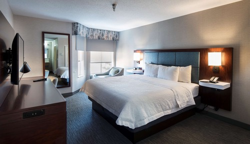 Suite, 1 King Bed, Non Smoking, Fireplace