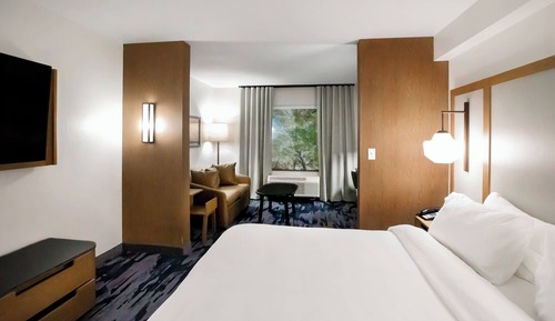 Suite, 1 King Bed with Sofa bed