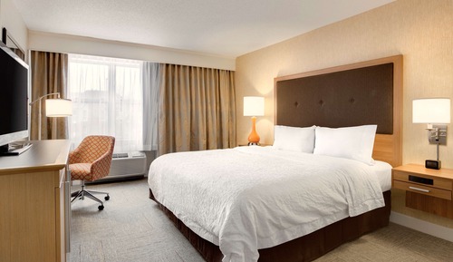 Room, 1 King Bed, Non Smoking, Refrigerator (Shower Only)