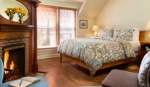 Room, 1 Queen Bed, Fireplace (Dormouse)