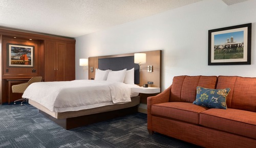 Room, 1 King Bed with Sofa bed, Accessible, Bathtub (Mobility & Hearing)