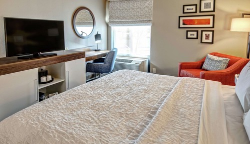 Room, 1 King Bed, Mobility Accessible, Roll-In Shower, Non Smoking