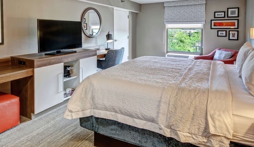 1 King Bed, Non Smoking (with Oversized Shower)
