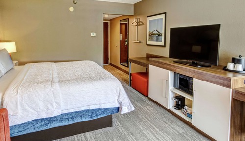 Deluxe Room, 1 King Bed, Shower Only, Non Smoking
