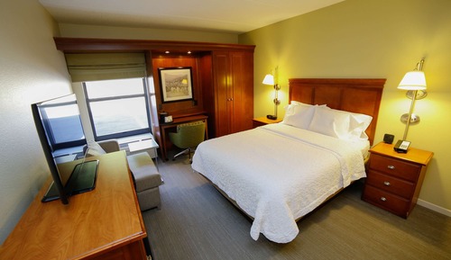 Room, 1 Queen Bed, Accessible (Mobility & Hearing, Roll-in Shower)