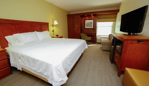 Room, 1 King Bed, Non Smoking
