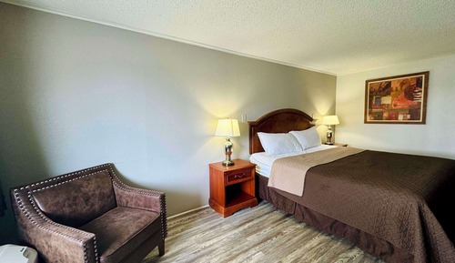 Room, 1 King Bed
