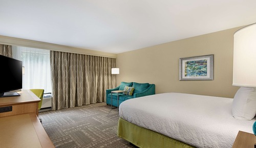 Room, 1 King Bed with Sofa bed, Refrigerator & Microwave